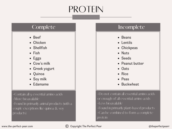 Blank nutrition facts long