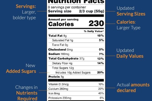 Blank nutrition facts long